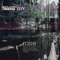 Michal Kosinski - Simian City EP