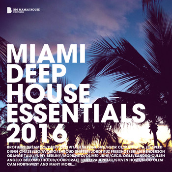 Various Artists - Miami Deep House Essentials 2016