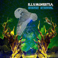 Illuminertia - Energy Eternal