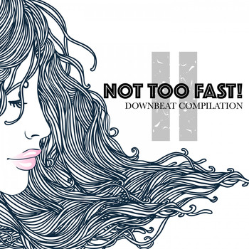 Various Artists - Not Too Fast! 2: Downbeat Compilation