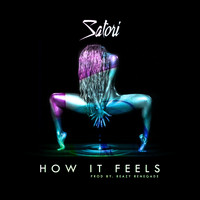 Satori - How It Feels - Single