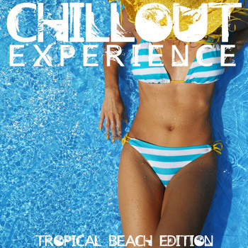 Various Artists - Chillout Experience