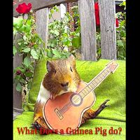 Mick Foster - What Does a Guinea Pig Do?