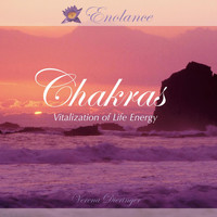 Verena Dieringer - Chakras Vitalization of Life Energy