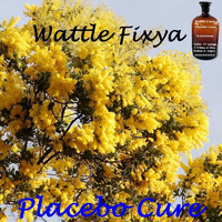 Placebo Cure - Wattle Fixya