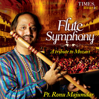 Pandit Ronu Majumdar - Flute Symphony