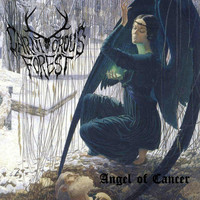 Carnivorous Forest - Angel of Cancer