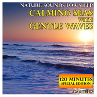 Amadeus - Nature Sounds for Sleep: Calming Seas with Gentle Waves: 120 Minutes Special Edition