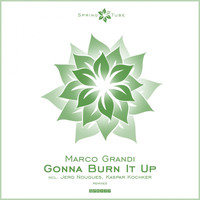 Marco Grandi - Gonna Burn It Up