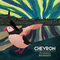 Chevron - Possibilities Remixed
