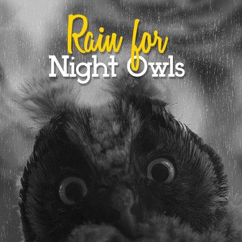 Rain - Rain for Night Owls