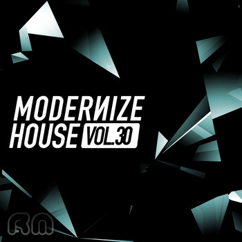 Various Artists - Modernize House, Vol. 30
