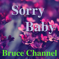 Bruce Channel - Sorry Baby