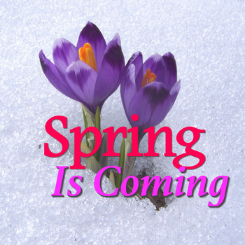 Various Artists - Spring Is Coming