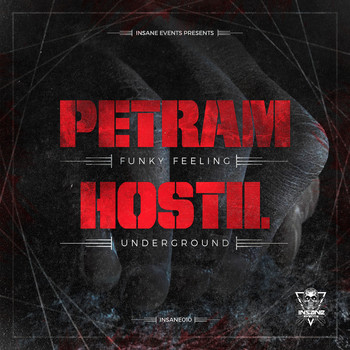Petram & Hostil - INSANE RECS 010