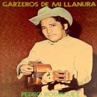 Pedro Rodriguez - Garzeros de Mi Llanura
