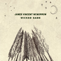 James Vincent McMorrow - Wicked Game (Recorded Live at St Canice Cathedral, Kilkenny)