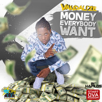Vandalize - Money Everybody Want - Single