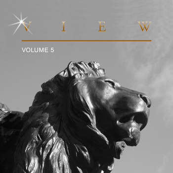 Image Sounds - View, Vol. 5