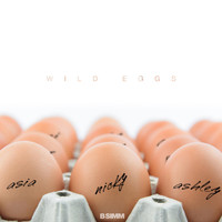 B Simm - Wild Eggs