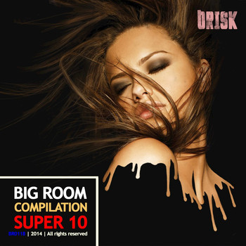 Various Artists - Big Room Compilation - Super 10