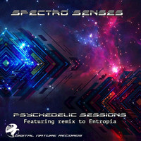 Spectro Senses - Psychedelic Sessions