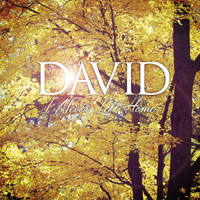 David - I Never Left Home
