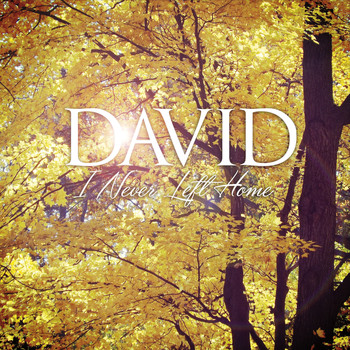 David - I Never Left Home