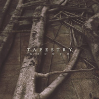 Tapestry - Growth