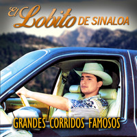 El Lobito de Sinaloa - Grandes Corridos Famosos
