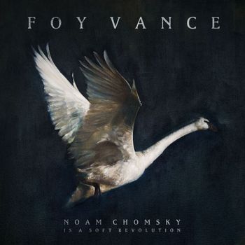 Foy Vance - Noam Chomsky Is A Soft Revolution
