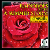 Amadeus - Binaural Natural Sounds for Sleep: Raindrops After a Summer Storm: 120 Minutes Special Edition