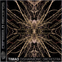 Timao - Disharmonic Orchestra
