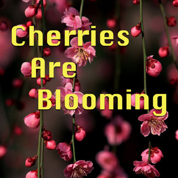 Various Artists - Cherries Are Blooming