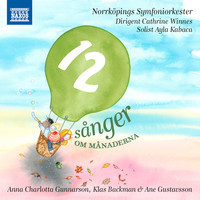 Norrköpings Symfoniorkester - 12 sånger om månaderna