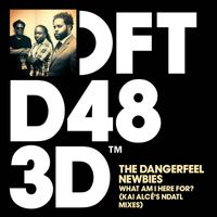 The DangerFeel Newbies - What Am I Here For? (Kai Alcé's NDATL Remixes)