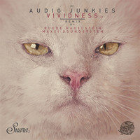 Audio Junkies - Vividness