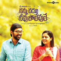 Amrit - Nannu Vadali Neevu Polevule