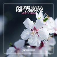 Antonio Giacca & Fort Arkansas - What U Know