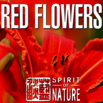 Various Artists - Spirit of Nature (Red Flower)