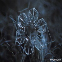 Freidmind Zig - Back to Reallity
