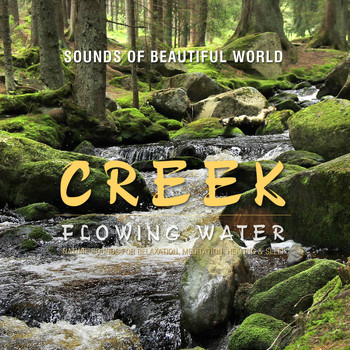 Sounds of Beautiful World - Flowing Water: Creek (Nature Sounds for Relaxation, Meditation, Healing & Sleep)