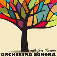 Orchestra Sonora - Orchestra Sonora & José Koning (Live)