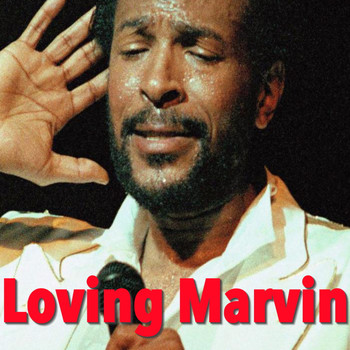 Marvin Gaye - Loving Marvin