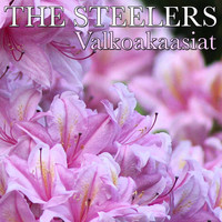The Steelers - Valkoakaasiat