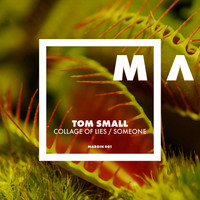 Tom Small - Collage of Lies / Someone
