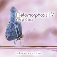 Luke Woodapple - Philip Glass: Metamorphosis I-V
