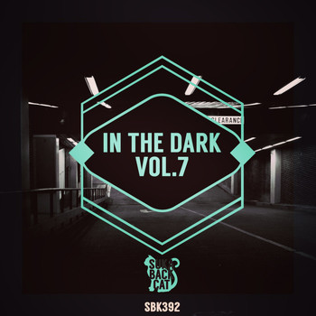 Various Artists - In the Dark, Vol. 7