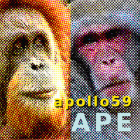 Apollo59 - Ape
