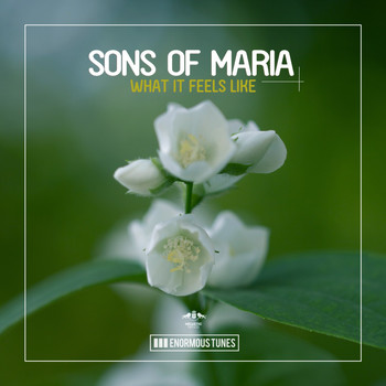 Sons of Maria - What It Feels Like